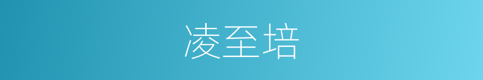 凌至培的同义词