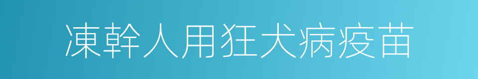 凍幹人用狂犬病疫苗的同義詞