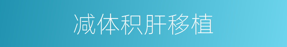 减体积肝移植的同义词