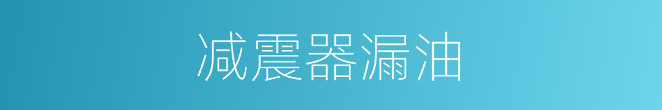 减震器漏油的同义词