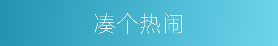 凑个热闹的同义词