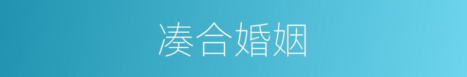 凑合婚姻的同义词