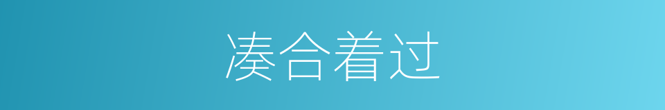 凑合着过的同义词