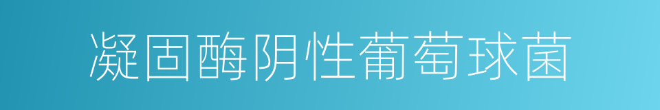 凝固酶阴性葡萄球菌的同义词