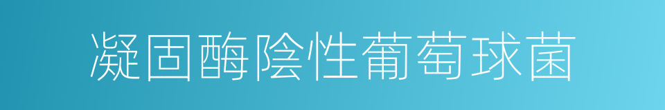 凝固酶陰性葡萄球菌的同義詞