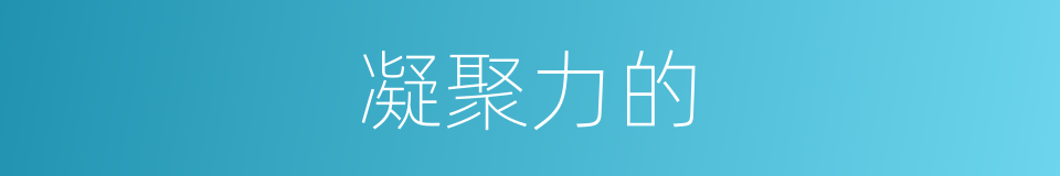 凝聚力的的同义词