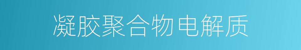 凝胶聚合物电解质的同义词