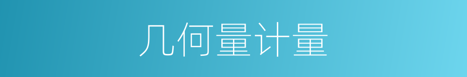 几何量计量的同义词