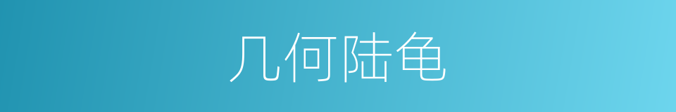 几何陆龟的同义词
