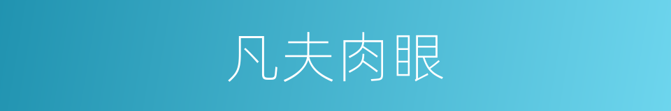 凡夫肉眼的意思