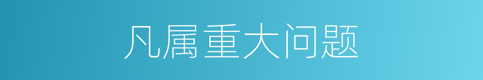 凡属重大问题的同义词