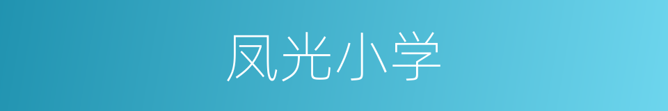 凤光小学的同义词