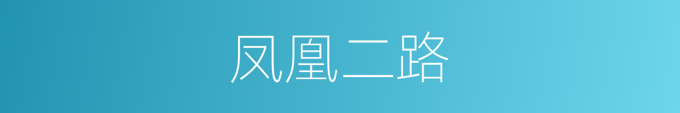 凤凰二路的同义词