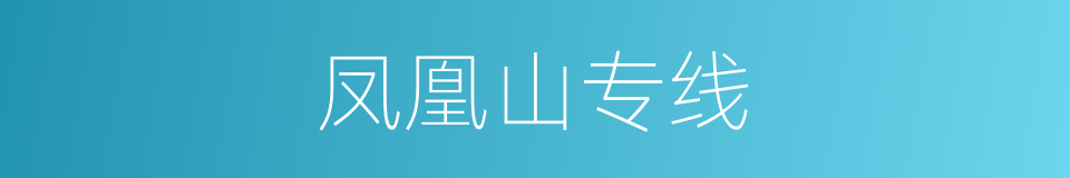 凤凰山专线的同义词