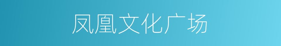 凤凰文化广场的同义词
