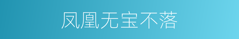 凤凰无宝不落的同义词