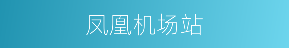 凤凰机场站的同义词