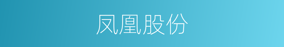 凤凰股份的同义词