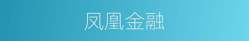 凤凰金融的同义词