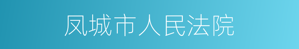 凤城市人民法院的同义词