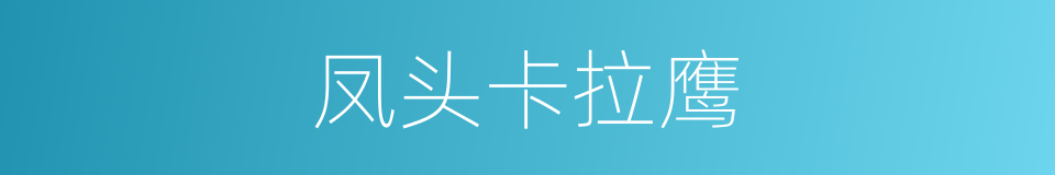 凤头卡拉鹰的同义词