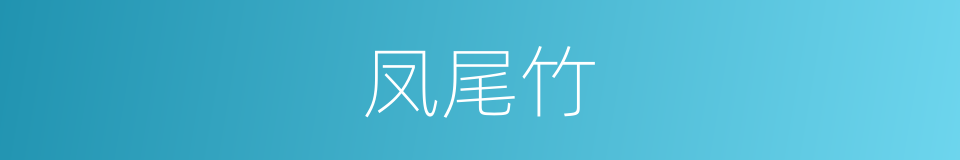 凤尾竹的意思