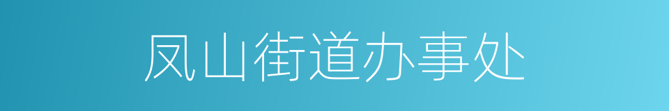 凤山街道办事处的同义词