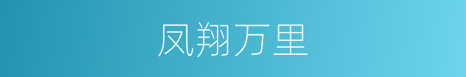 凤翔万里的同义词