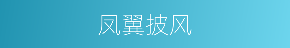 凤翼披风的同义词
