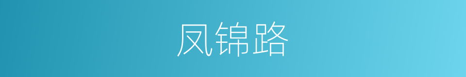 凤锦路的同义词
