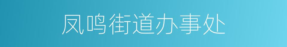 凤鸣街道办事处的同义词