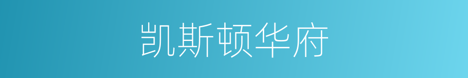 凯斯顿华府的同义词