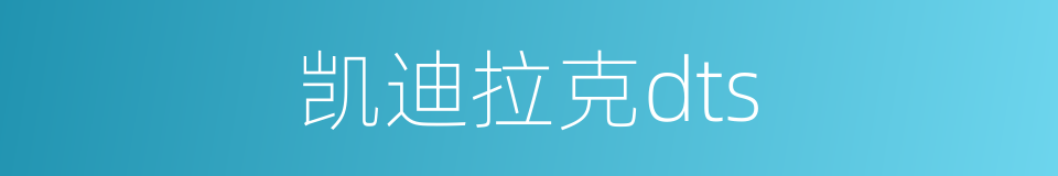 凯迪拉克dts的同义词