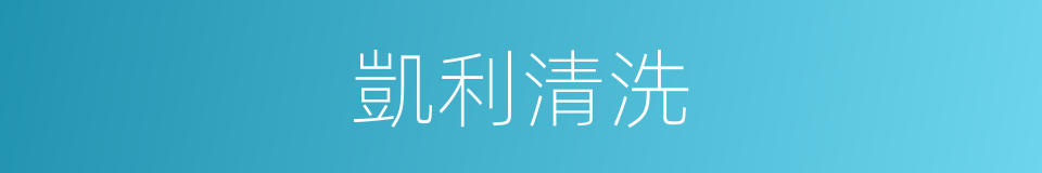 凱利清洗的同義詞