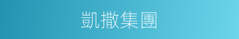 凱撒集團的同義詞