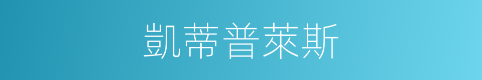 凱蒂普萊斯的同義詞