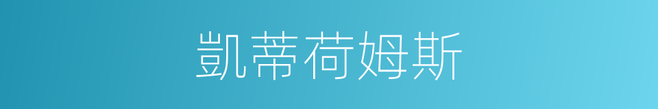 凱蒂荷姆斯的同義詞