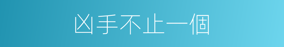 凶手不止一個的同義詞