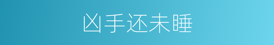 凶手还未睡的同义词