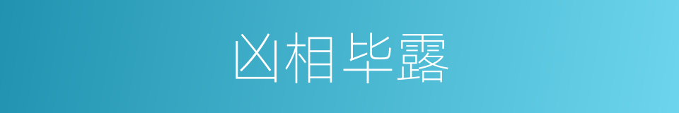 凶相毕露的意思