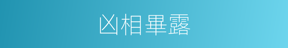 凶相畢露的意思