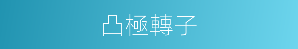 凸極轉子的同義詞