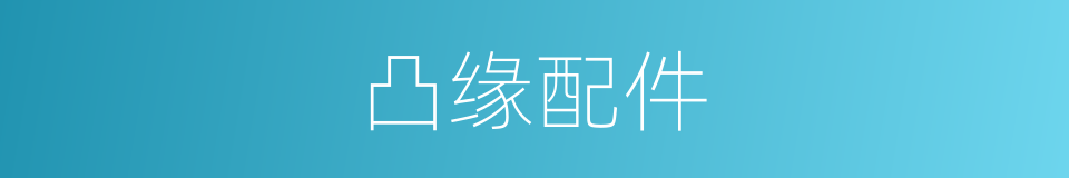凸缘配件的同义词