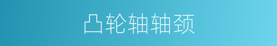 凸轮轴轴颈的同义词