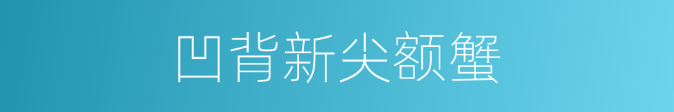 凹背新尖额蟹的同义词