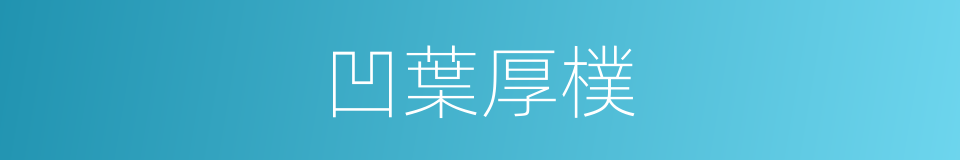 凹葉厚樸的同義詞