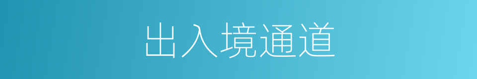 出入境通道的同义词