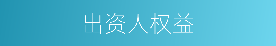 出资人权益的同义词