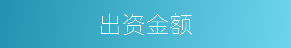 出资金额的同义词