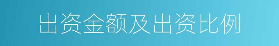 出资金额及出资比例的同义词